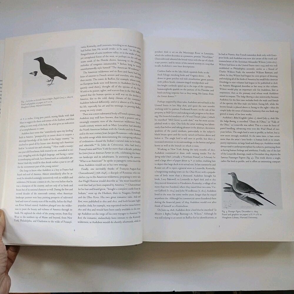The Watercolors for the Birds of America- Audubon HC/DJ 1993 1 st Ed/2nd prtg - Picture 10 of 16